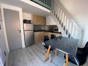 Appartement avec mezzanine, 4 pers, plage à 250m, parking privé, commerces à proximité - FR-1-81-43